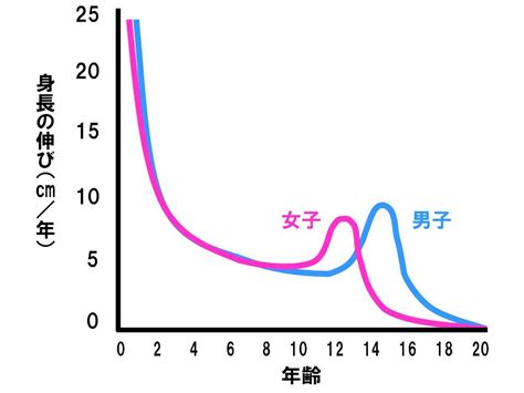 銀帶成長速度